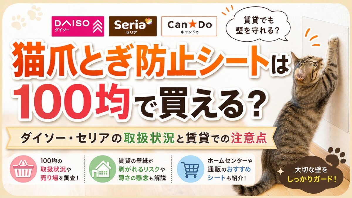 猫爪とぎ防止シートは100均で買える?ダイソー・セリアの取扱状況と賃貸での注意点